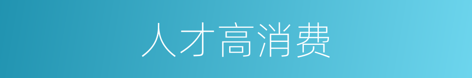 人才高消费的同义词