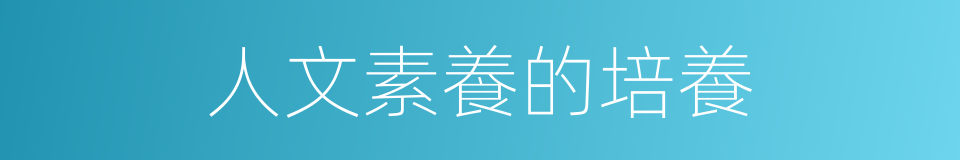 人文素養的培養的同義詞