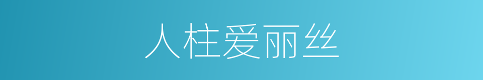人柱爱丽丝的同义词