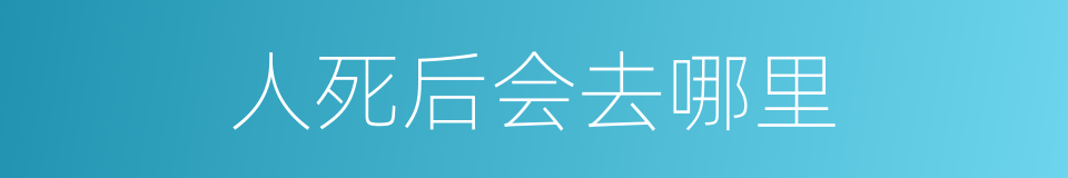 人死后会去哪里的同义词