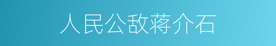 人民公敌蒋介石的同义词