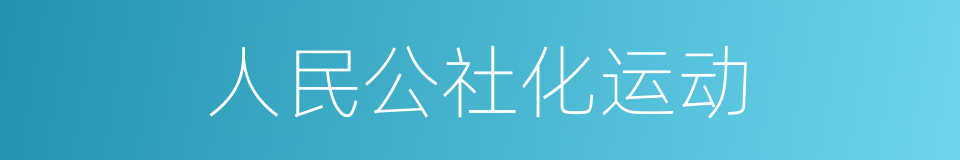 人民公社化运动的同义词