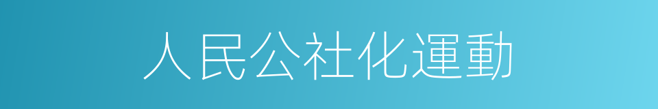 人民公社化運動的同義詞