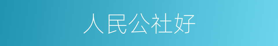 人民公社好的同义词