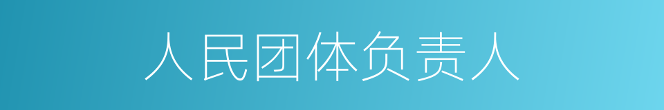 人民团体负责人的同义词