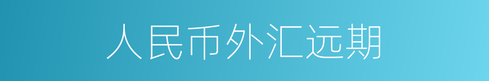 人民币外汇远期的同义词