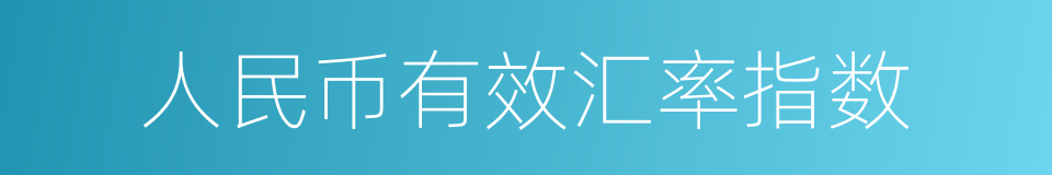 人民币有效汇率指数的同义词