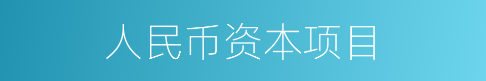 人民币资本项目的同义词