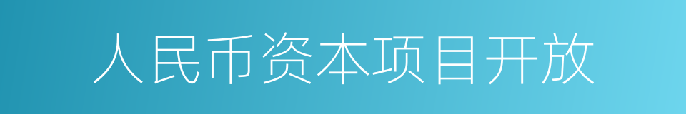 人民币资本项目开放的同义词