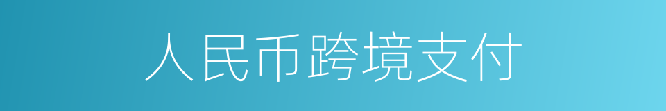 人民币跨境支付的同义词