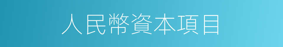 人民幣資本項目的同義詞