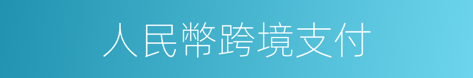 人民幣跨境支付的同義詞