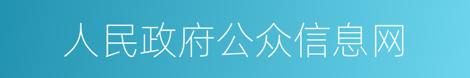 人民政府公众信息网的同义词