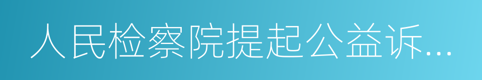 人民检察院提起公益诉讼试点工作实施办法的同义词