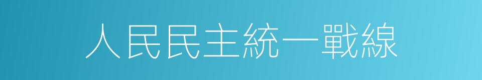 人民民主統一戰線的意思