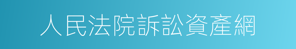 人民法院訴訟資產網的同義詞