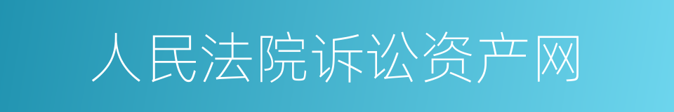 人民法院诉讼资产网的同义词