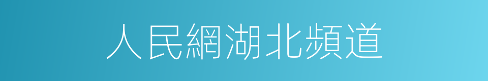 人民網湖北頻道的同義詞