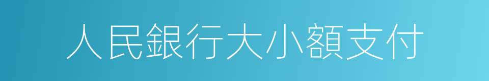 人民銀行大小額支付的同義詞