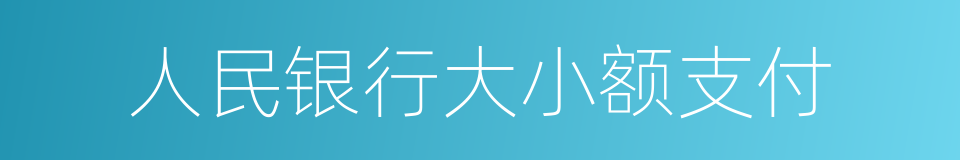 人民银行大小额支付的同义词