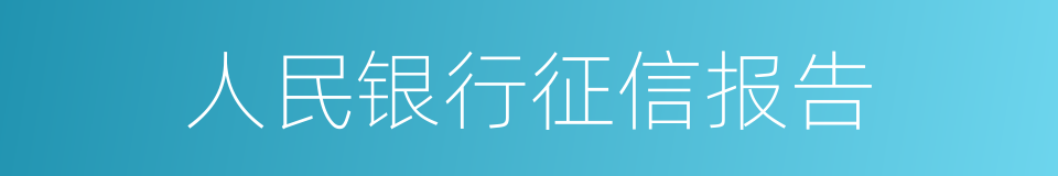 人民银行征信报告的同义词