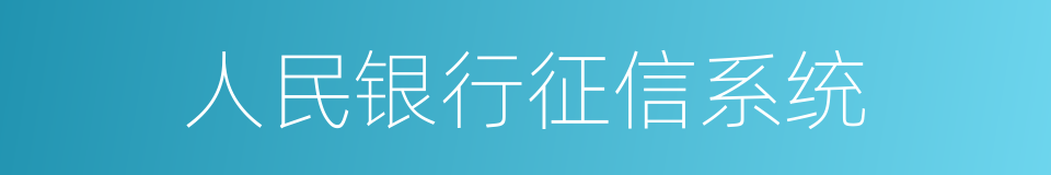 人民银行征信系统的同义词