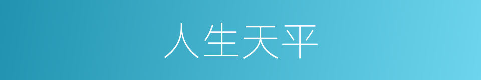 人生天平的同义词