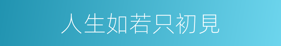 人生如若只初見的同義詞