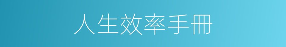 人生效率手冊的同義詞