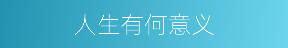 人生有何意义的同义词