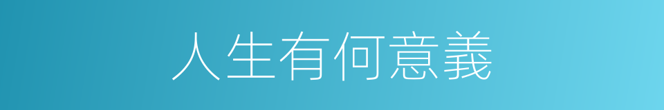 人生有何意義的同義詞