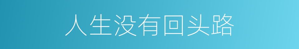 人生没有回头路的同义词