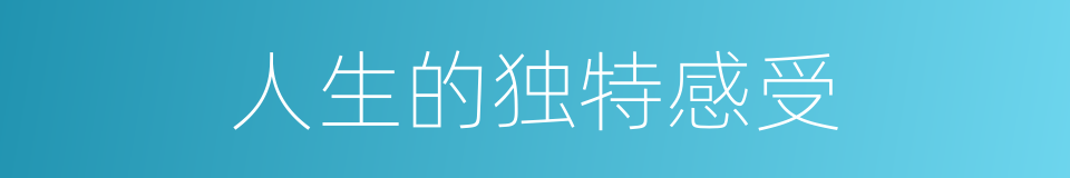 人生的独特感受的同义词