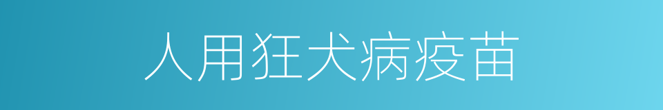 人用狂犬病疫苗的同义词