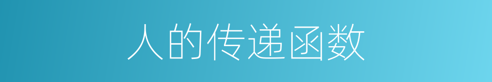 人的传递函数的同义词