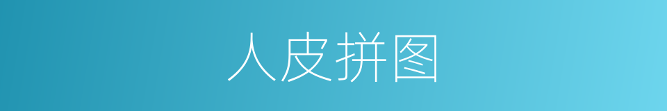 人皮拼图的同义词