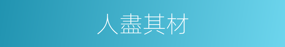 人盡其材的意思