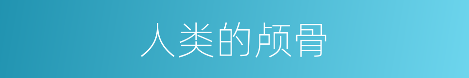 人类的颅骨的同义词