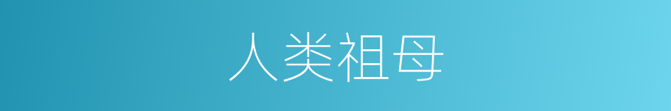 人类祖母的同义词