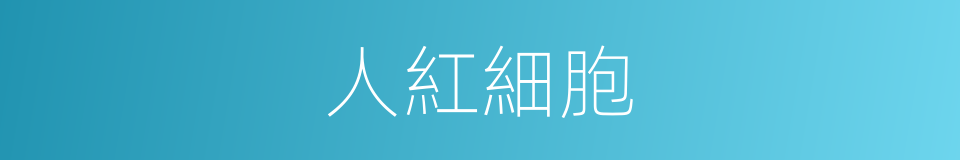 人紅細胞的同義詞