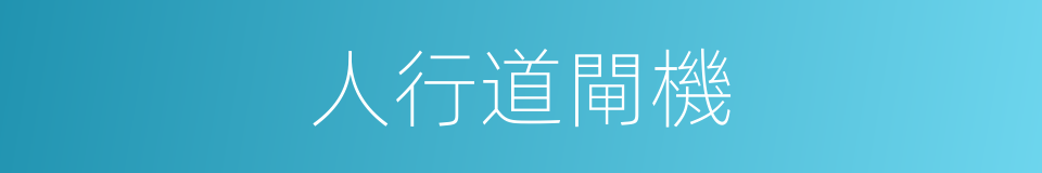 人行道閘機的同義詞