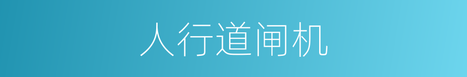 人行道闸机的同义词
