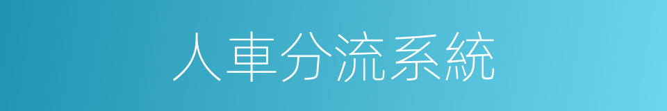 人車分流系統的同義詞