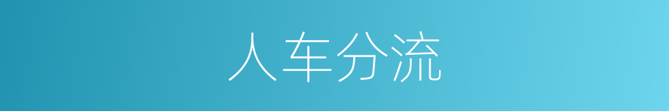人车分流的意思