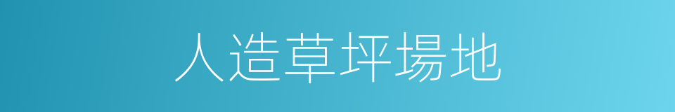 人造草坪場地的同義詞