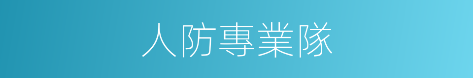人防專業隊的同義詞