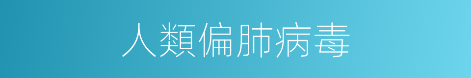 人類偏肺病毒的同義詞