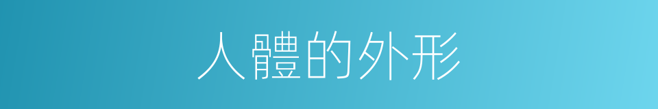 人體的外形的同義詞