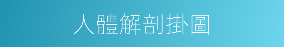 人體解剖掛圖的同義詞