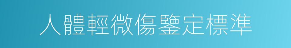 人體輕微傷鑒定標準的同義詞